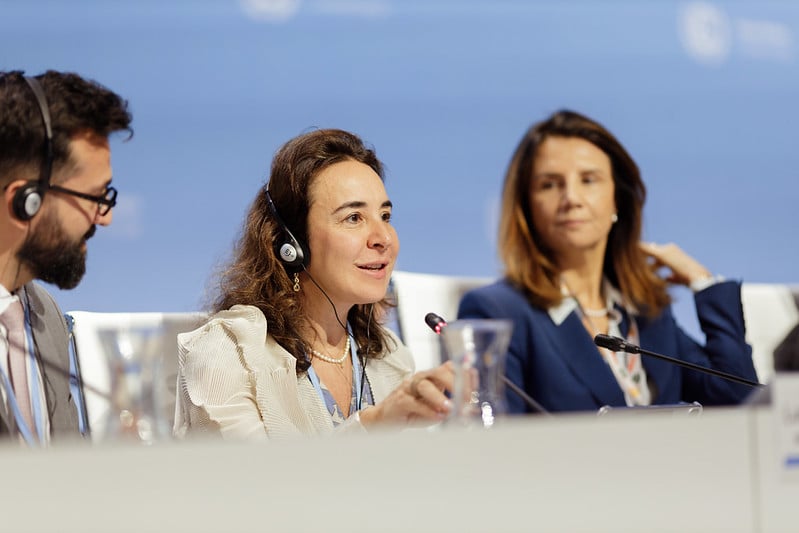 54599741026_53bb7bb5f6_c-1