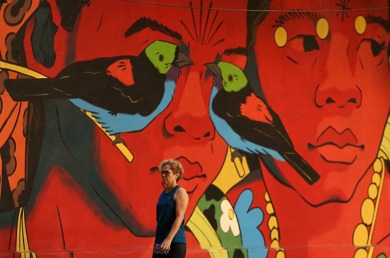 54916841178_9a4ec0ac67_c