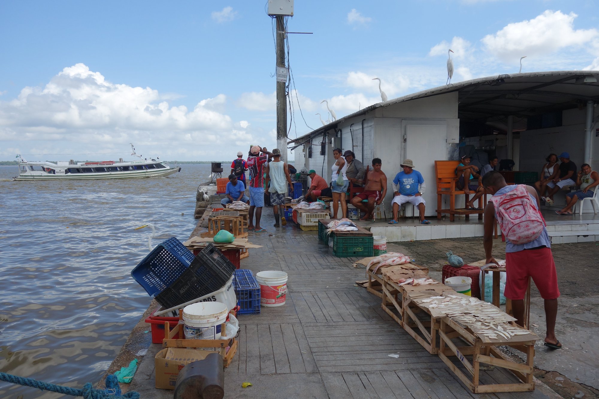 Brasil_I_ 337