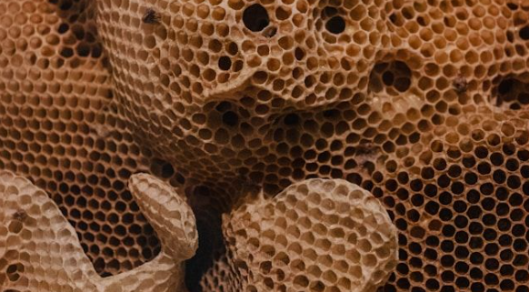 Klimakommu-Herbst2025