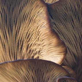 Screenshot 2025-12-05 162357