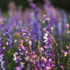 Screenshot 2025-12-22 094029