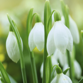 Screenshot 2025-12-22 094053