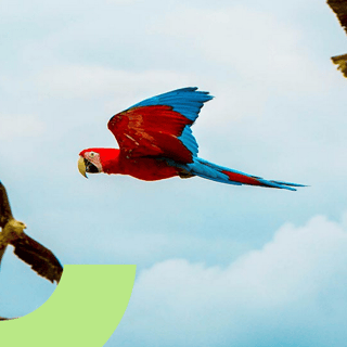 Screenshot 2025-12-30 121551