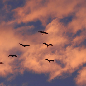 Screenshot 2026-01-27 103923