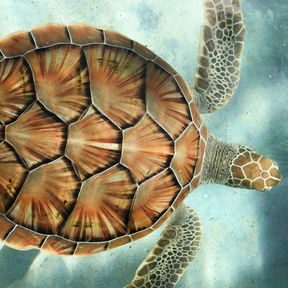 Screenshot 2026-01-27 104054